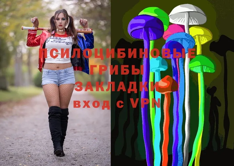 где можно купить   Мензелинск  Псилоцибиновые грибы Magic Shrooms 